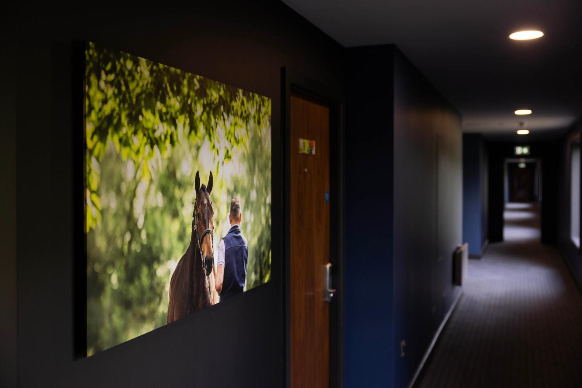 The Club Hotel At Goffs Naas Exterior foto